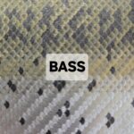 Close-up of bass fish scales with a label.